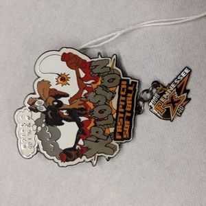 Wile coyote pin
